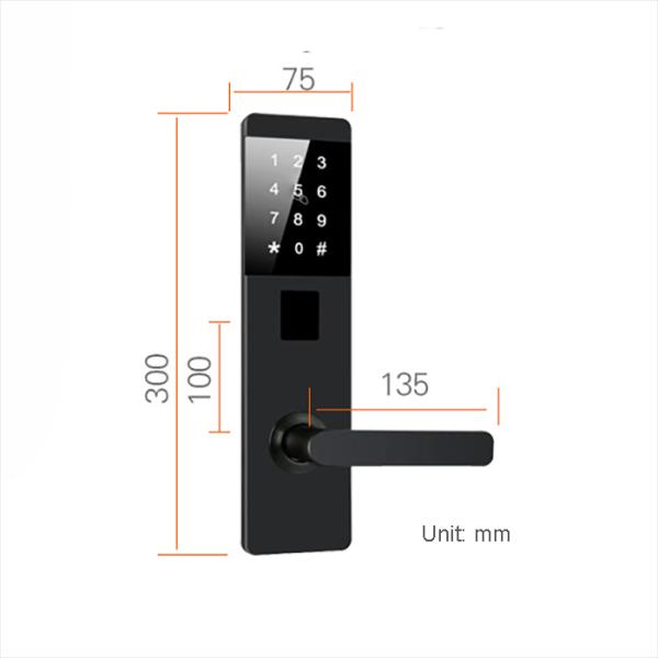TTM726 Smart password door Locks with TThotel / TTLOCK App