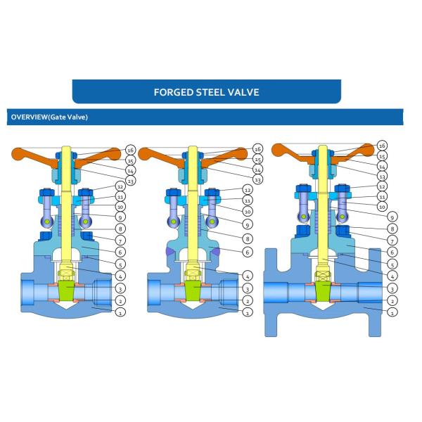 Запорная заслонка деятельности маховичка нержавеющей стали F304 Dn25 800LB клапана нарезанного конца промышленная запорная заслонка API602 1 дюйма