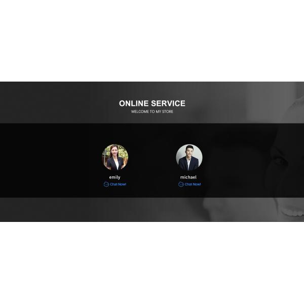 Электрическая портативная ручная одежда из ткани Удаление морщин Мини путешествие Паровое железо N.W/G.W 1.1/1.3KG