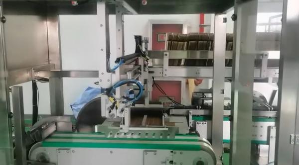 Automatic Sachet Counting Pesticide Cartoning Machine with High-Speed Magazine Feeding and Servo Linkage Control