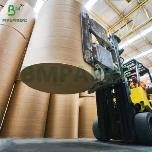 240 gm + 18 g de papier couché en PE pour tapis de plateau résistant à l'eau 650 mm