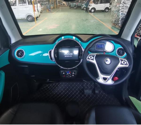 Raysince latest model electric vehicle hot sales right hand frive electric car