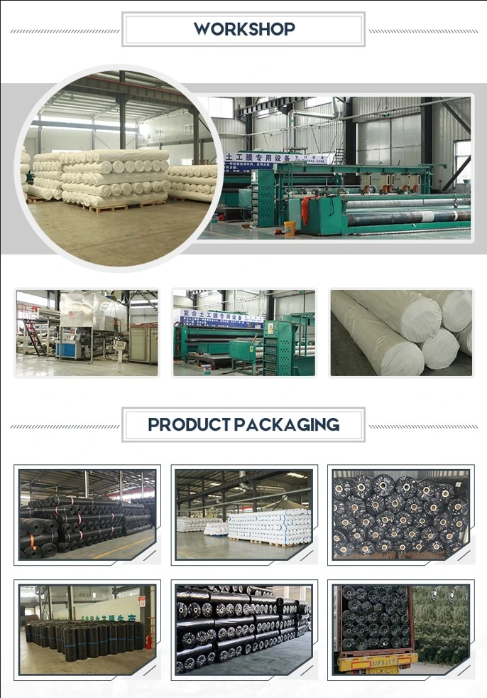 Geomembrana compuesta antiperforación anti-seca en ingeniería geotécnica y de construcción