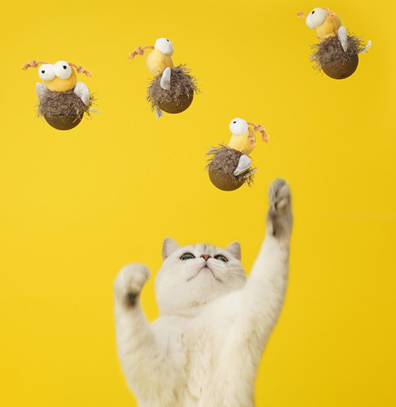 Interactive Safe Scratch Cat Chew Toys Amazon For Indoor Cats And Kittens