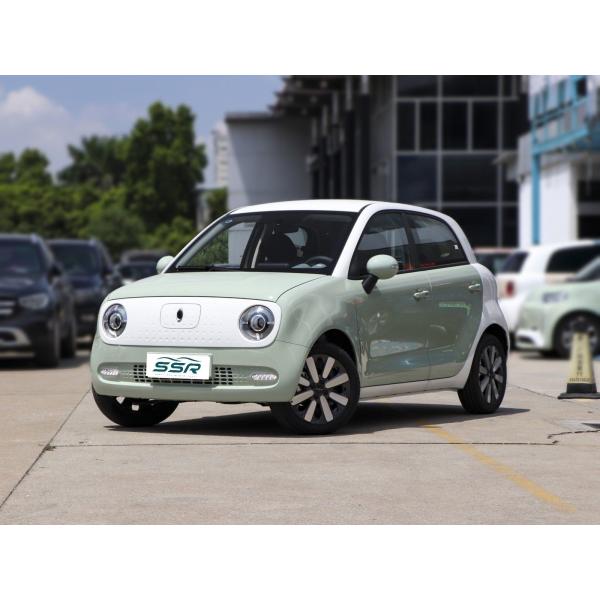 Энергия Vehices 102km/h черного кота Euler автомобилей 351KM электрическая мини EV новая для дамы