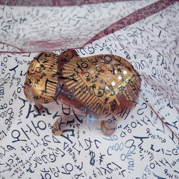 Ronzing Printed Mesh 100% Polyester Soft Tulle Fabric