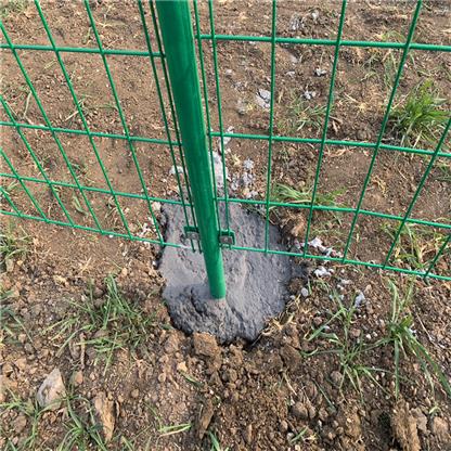 868 656 Powder Coated Double Wire Welded Mesh Fence Panels