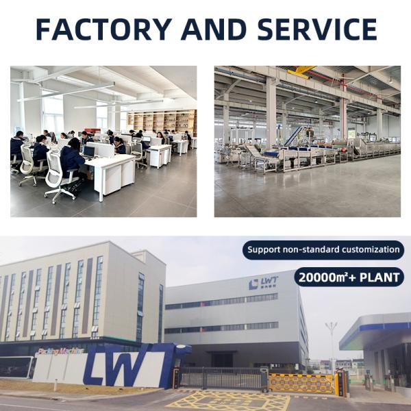 3000 Bottles/H Potato Chips Filling Production Line with 14-Head Intelligent Weighing and Food-Grade 316 Stainless Steel