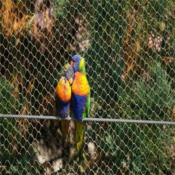 Customizable Stainless Steel Wire Aviary Netting For Parrot Cage Mesh  Size 30*30mm
