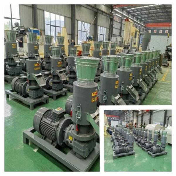 22kw 250-350kg/H Wood Pellet Mill To Make Biofuel Pellet With High Density