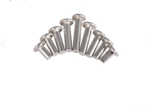 1/4 1/2 7/16 Stainless Steel Flat head solid rivet custom M6 M12 M13 Round head rivets