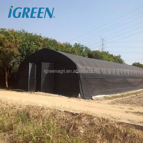 Tunnel Greenhouse with Hot Dipped Galvanized Steel Structure and 275gsm Zinc Coating