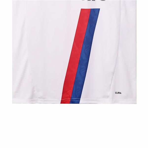 Lyon 2010-2011 Home Retro Football Jersey Classic Replica Support Customization