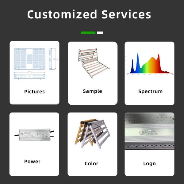 Dimmable Top LED Grow Lights Full Spectrum 800 Watt LED Grow Light