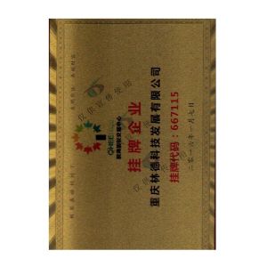 Chongqing Linde Technology Development Co., Ltd. Certifications
