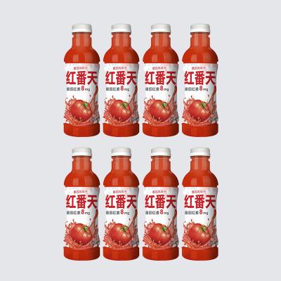 Salt Free Tomato Paste Fat Free No Sugar Tomato Ketchup PP Bottle