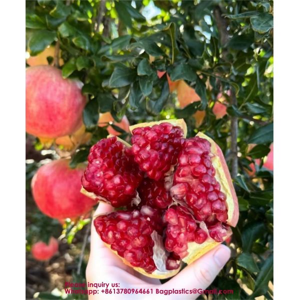 Custom Fruit Protection Bags Double-Layer Thickened Paper Bags Universal For Pear & Apple Trees Factory Wholesale Protection Bags Sunproof, Insect & Disease Resistant