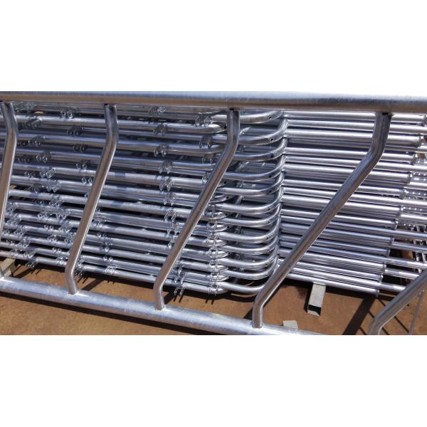 Individu d'exploitation laitière fermant à clef des barrières d'alimentation,