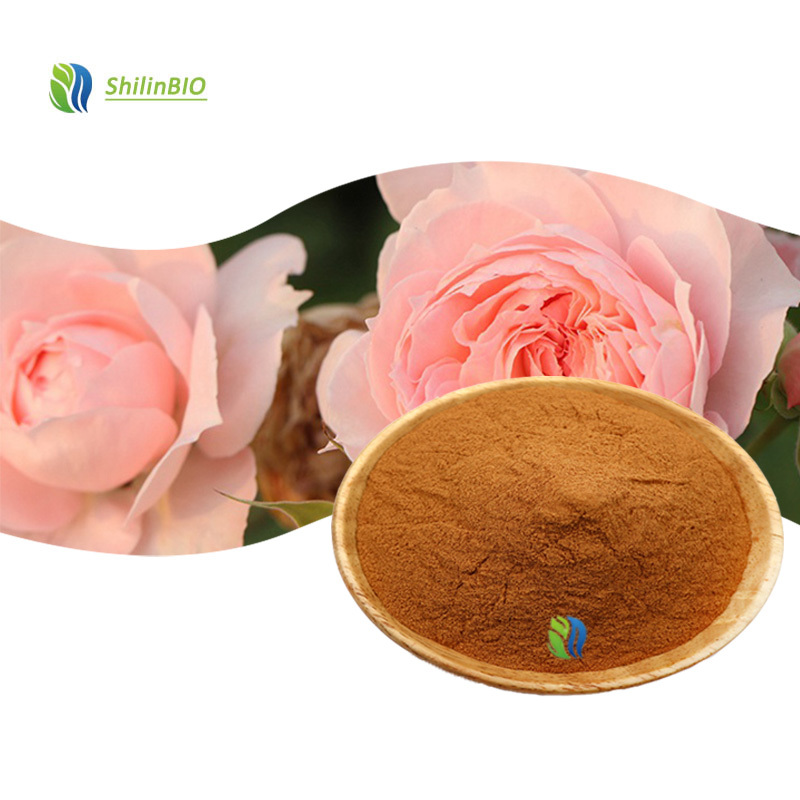 High Quality 10:1 20:1 30:1 Rosa Chinensis Extract Powder Food Grade Water Soluble