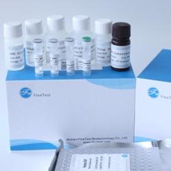 O fator de estimulação M-CSF ELISA Kit FDA da colônia do macrófago aprovou