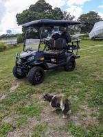 4 sièges personnalisé chariot de golf électrique 4 passagers off-road Golf Buggy