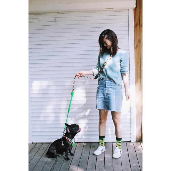 Soft Sponge Padded Neoprene Handle Dog Leash For Medium And Large Dogs