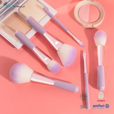 6PCS Mini Gift Makeup Brush Set Cosmetic Brush Set With Two Colors Synthetic Hair
