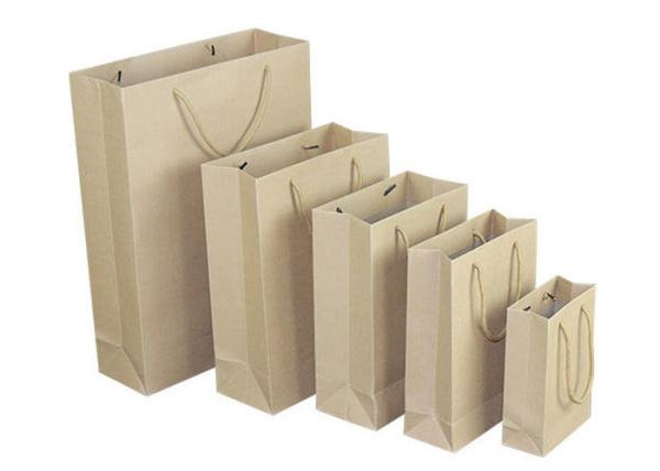 Sacos de compras lisos varejos impressos do papel de embalagem do punho PMS