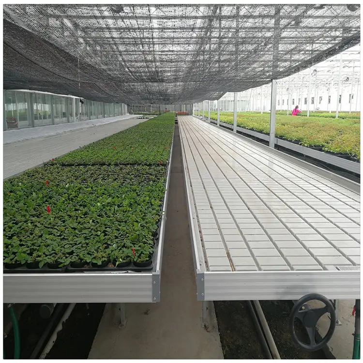 Пластиковый Суд Hydroponic растет таблица завальцовки парника кровати растя