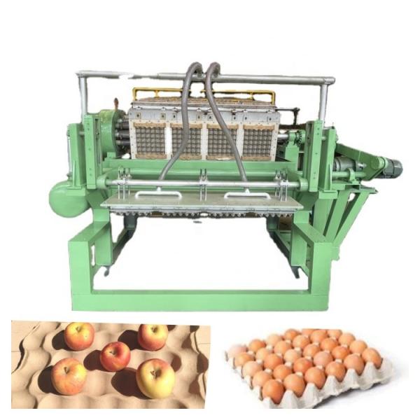 家庭用小型高容量卵皿機 卵皿生産ライン 回転型