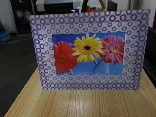 PLASTIC LENTICULAR fly-eye lens 3d photo frame 360 3d fly eye photo frames for home decor