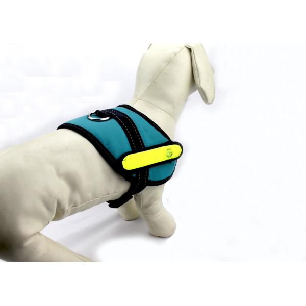 Eco - Friendly Nylon Webbing Glowing Pet Cat Safety LED Light Up Dog Harness Green