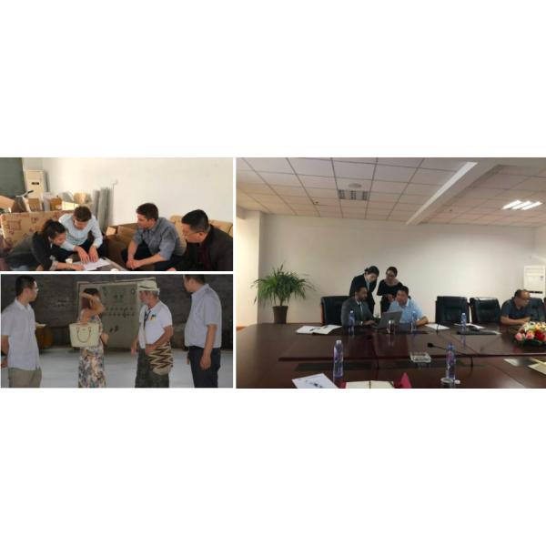 304L 316L Plant Climbing Net Support Mesh 60 Degree Stainless Steel Wall Plant