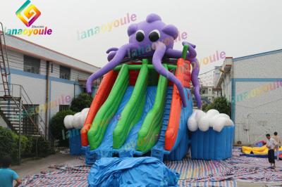 Durable Inflatable Octopus Water Park With Slide / Outdoor Water Play Equipment