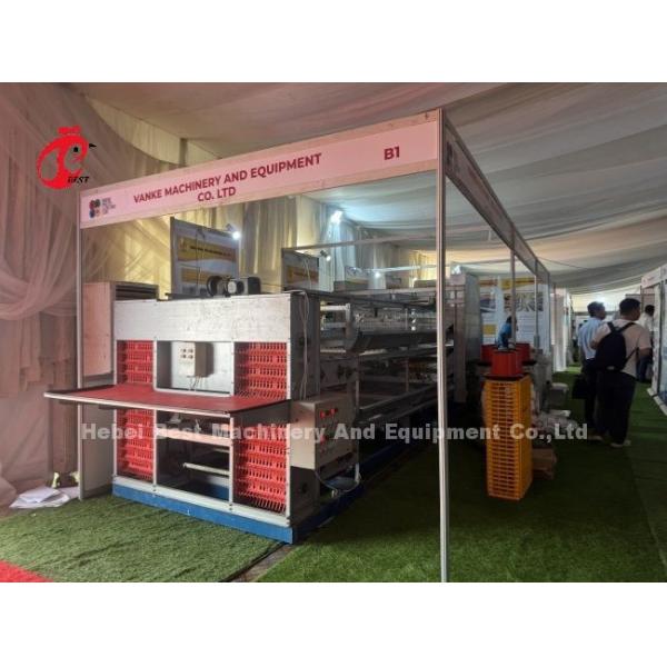 3 Tier 120 Birds And 4 Tier 160 Birds Layer Battery Cage System For Uganda Tanzania Poultry Farm Sandy