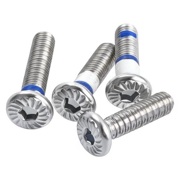 CD Patrón Miniatura tornillos de acero inoxidable de ciruela anti-demolición ranura Nylok pequeños tornillos