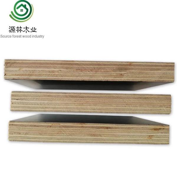 Formwork Production Line Construction Plywood / 3 Layer Plywood Panel