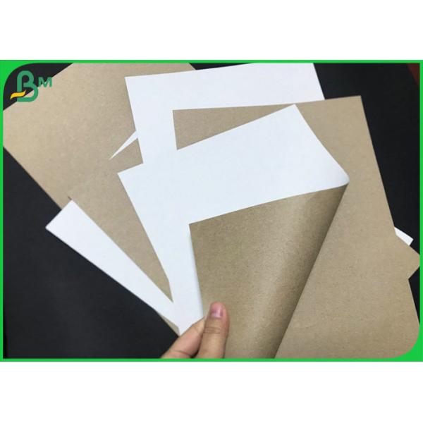 Recyclable глина 140gsm 170gsm белая покрыла доску задней части Kraft для держателя бумажного стаканчика Recyclable глина 140gsm 170gsm белая покрыла доску задней части Kraft для держателя бумажного стаканчика