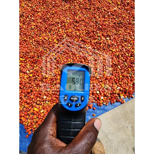 Drying Greenhouse with UV Protection and Ventilation for Herbs Vegetables and Fruits