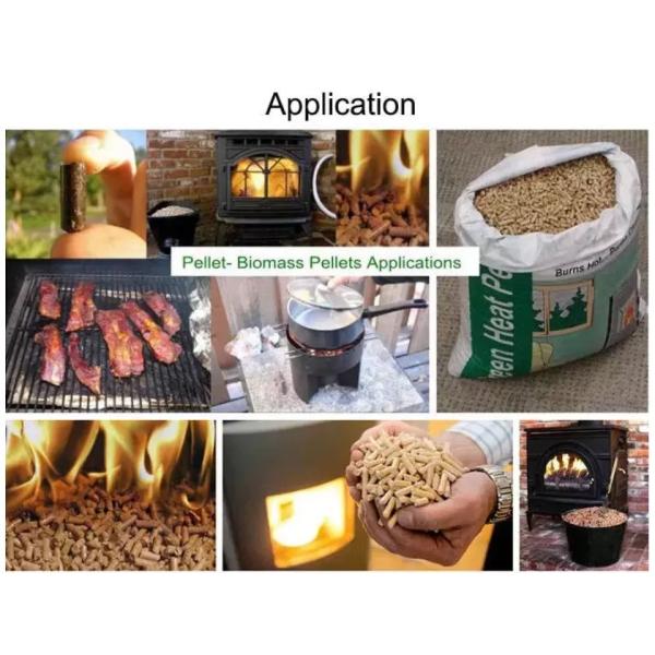 800kg Wood Pellet Production Line 1 Ton Biomass Heating Pellet Machine