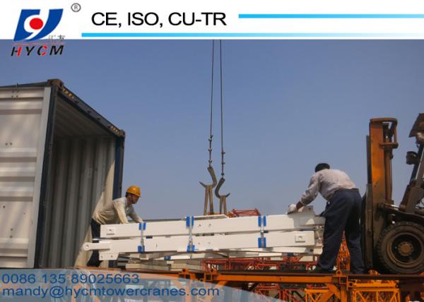 Popular Type QTZ5513/6010 Construction Tower Crane 1.6*3m Mast 8ton Hammernead Tower Crane