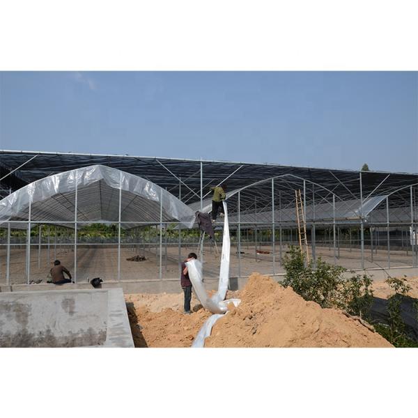 Без крыши вентиляции сельскохозяйственная теплица выращивание овощей одноразовая теплица
