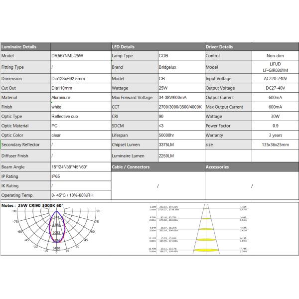 25W 30W recessed led waterproof downlight cutout110mm CRI90 IP65 wateproof spotlight
