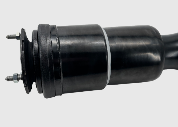 Compatible with Lexus LS500 LS500H RWD Air Suspension Shock Strut 4801050390 Front Right