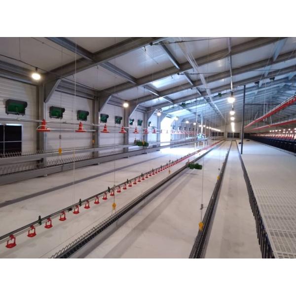 Линия питания птицы Odm цыплят автомата питания