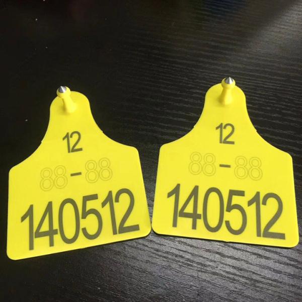 Security Seals UV Laser Marking Machine , Yag Laser Marking Machine Easy Operation