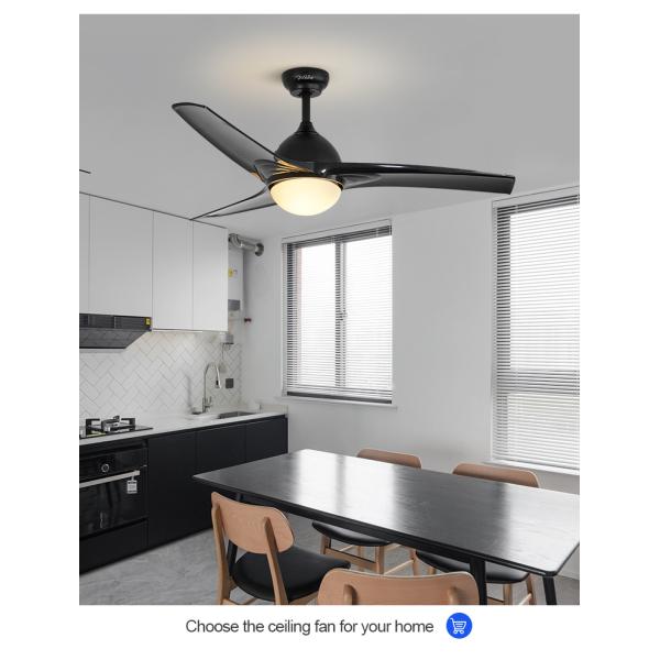 ceiling fan DCF W186 52 Пластиковый потолочный вентилятор для наружного использования