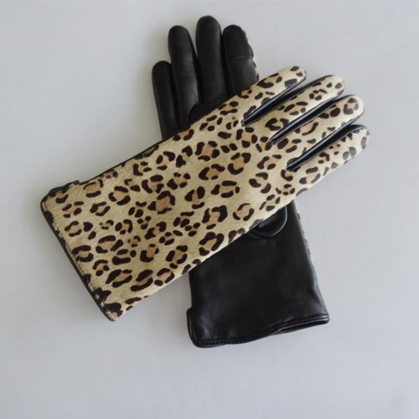 Fashion Touchscreen Winter Gloves , Comfortable Womens Leather Dress Gloves