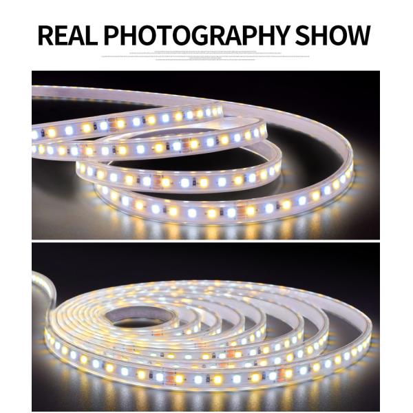 прокладка 2835 СИД 5M 60Leds/M IP20 12W 1190lm гибкая