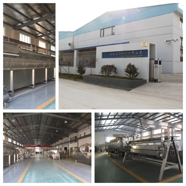 High Efficiency Halal Chicken Slaughtering Equipment Turnkey Poultry Processing Line for 1000 Birds Per Hour
